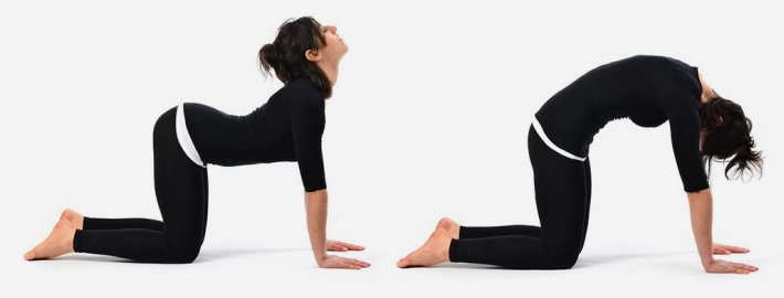 Kedi-Deve Egzersizleri