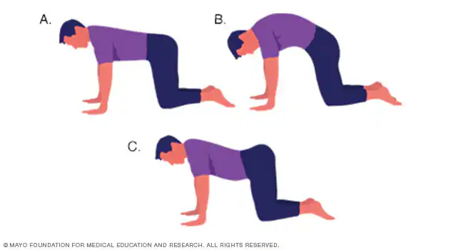 Kedi Esnemesi (Cat Stretch)